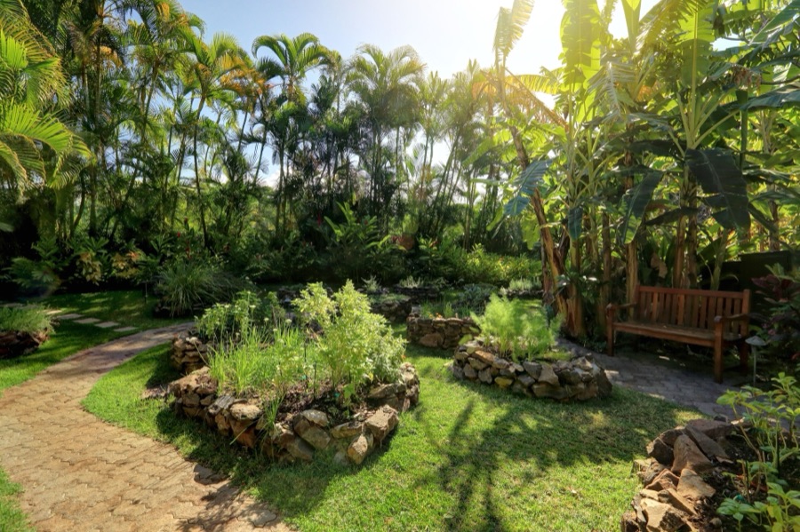 Guest herb garden