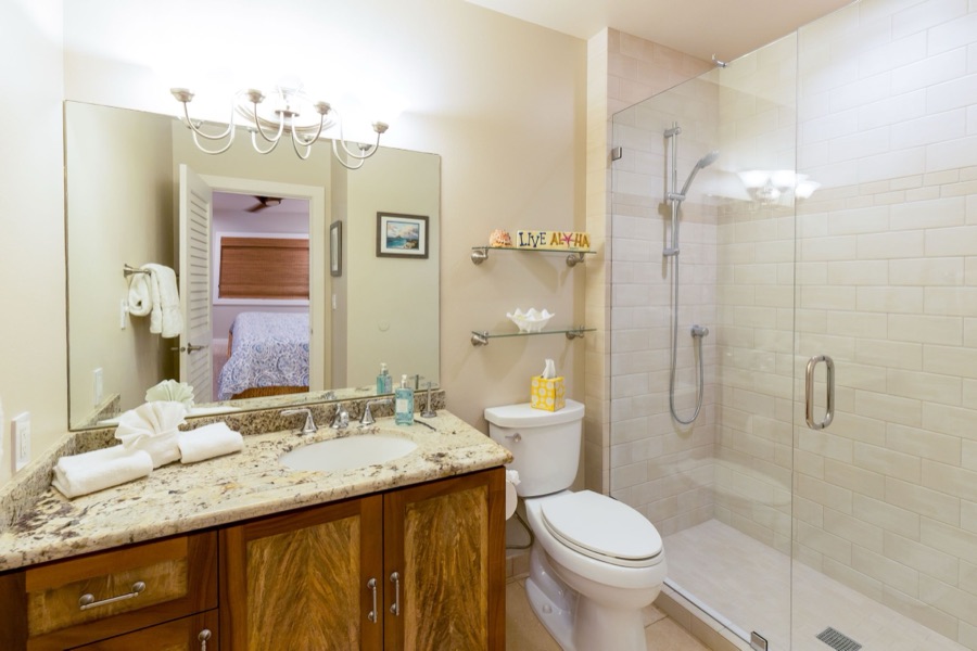 Main bathroom with the walk-in shower
