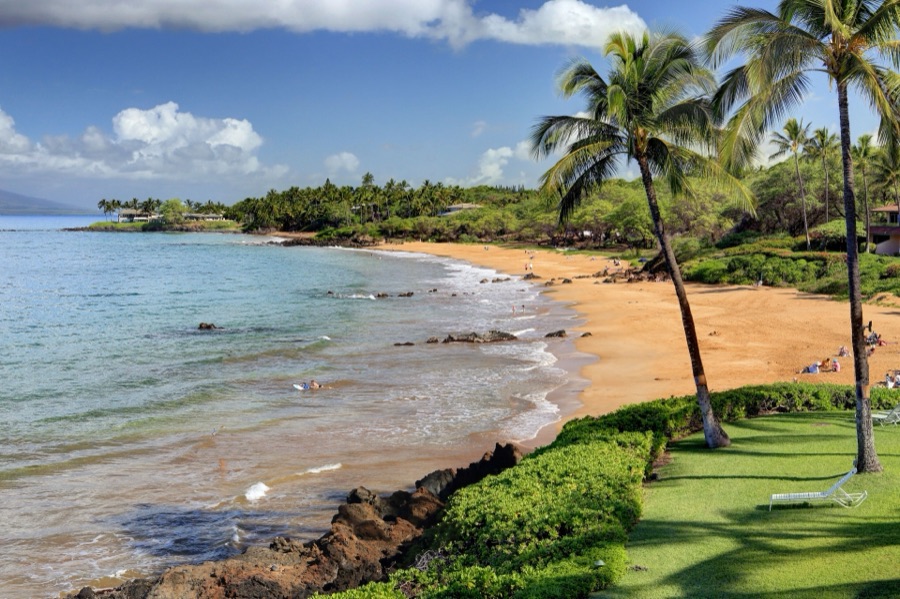 Po'olenalena Beach and palms